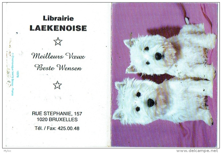 Calendrier. Bruxelles/Laeken. Librairie Laekenoise. Rue Stéphanie. Chiens-Westy.  1999. - Tamaño Pequeño : 1991-00