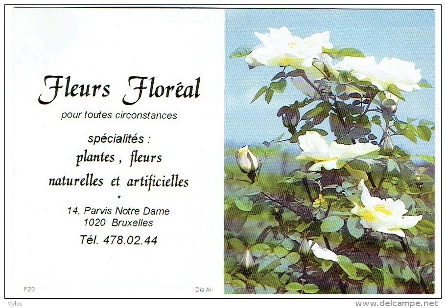 Calendrier. Bruxelles/Laeken. Fleurs Floréal. Parvis Notre-Dame. 1995. - Petit Format : 1991-00