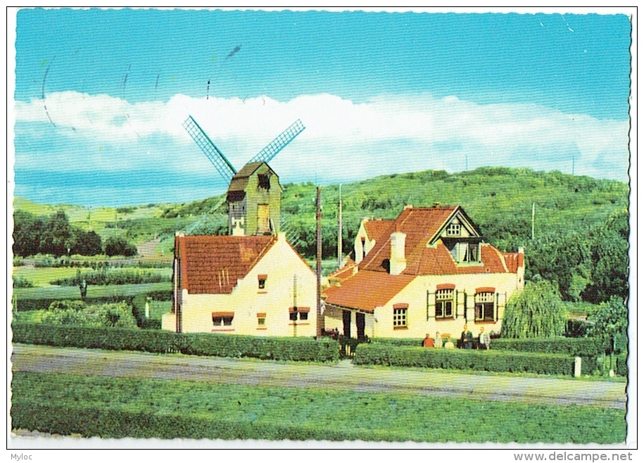 Wenduine. Moulin/Molen. Lot De 2 Cartes. - Wenduine