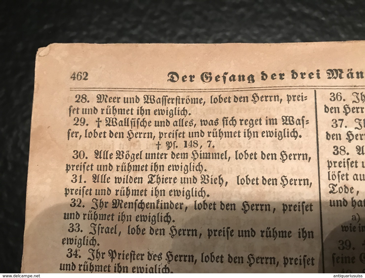 Die Bibel oder: Die ganze Heilige Schrift Alten und Neuen Testaments, nach der deutschen Übersetzung D. Martin Luthers