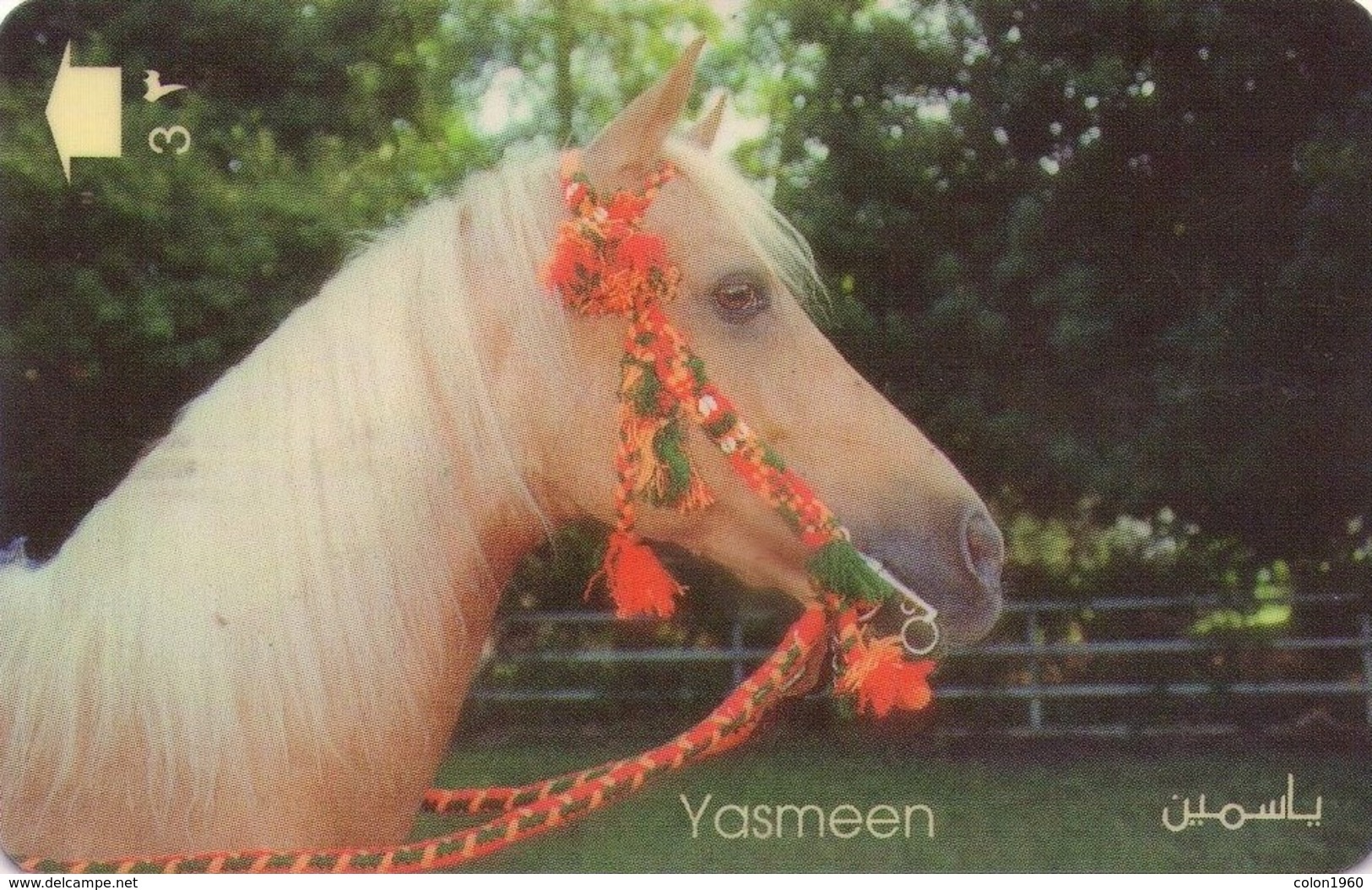 OMAN. 37OMND. CABALLO - HORSE. YASMEEN. 1998-03. (019) - Oman