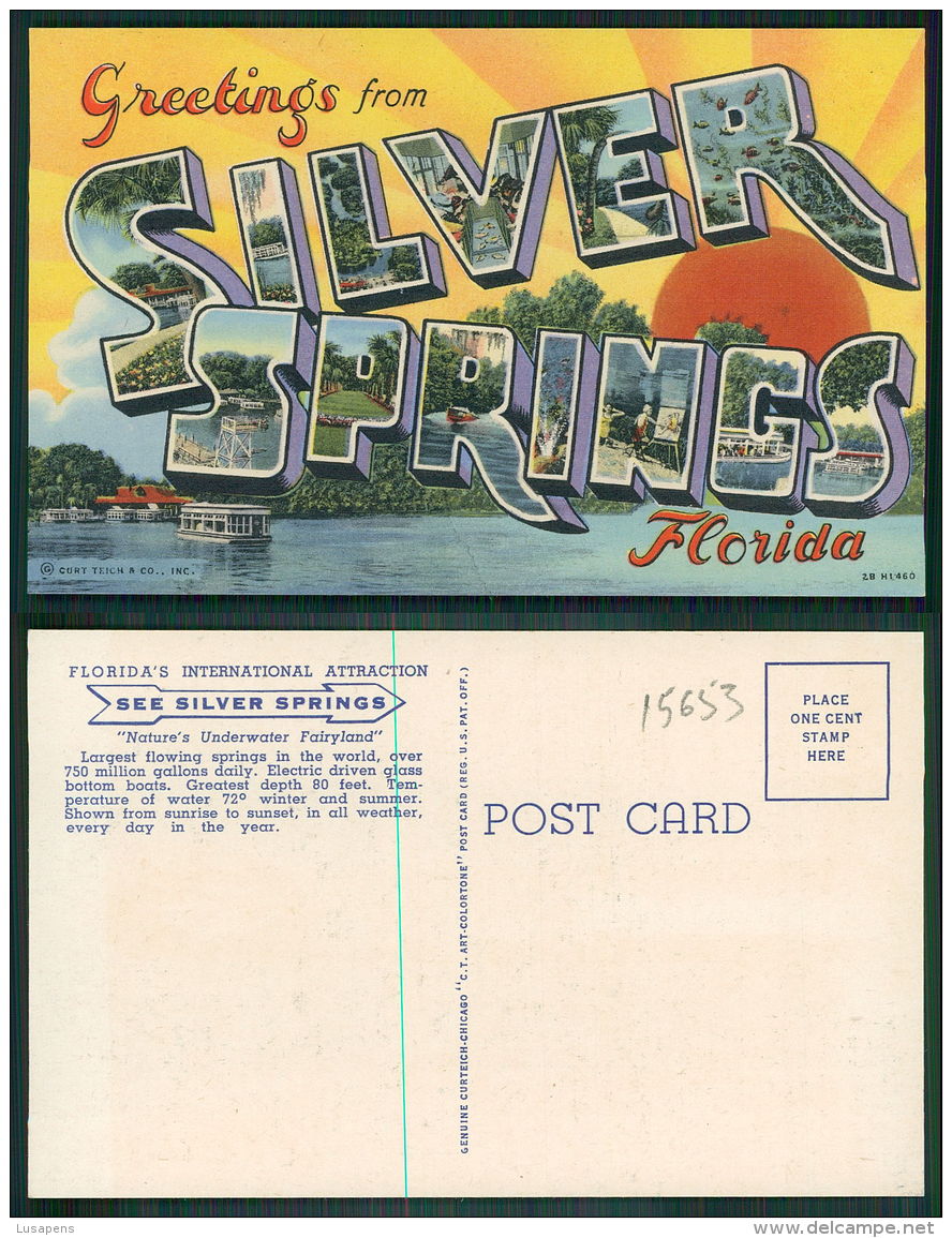 USA [OF #15653] - FLORIDA FL - GREETINGS FROM SILVER SPRINGS - Silver Springs
