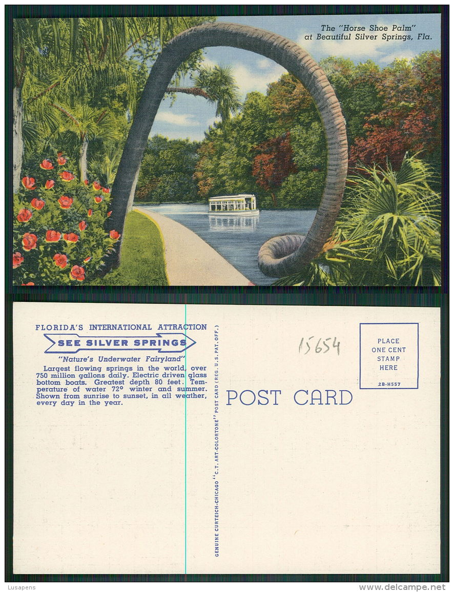 USA [OF #15654] - FLORIDA FL - THE HORSE SHOE PALM AT SILVER SPRINGS - Silver Springs