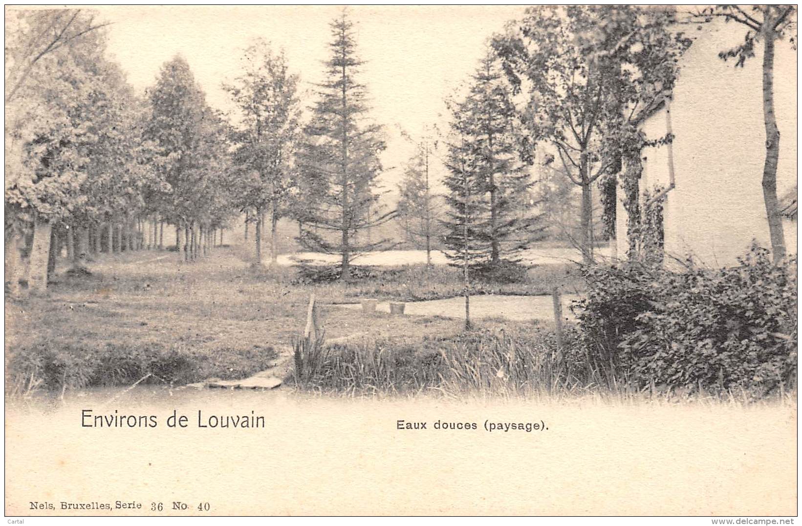 Environs De LOUVAIN - Eaux Douces (paysage) - Leuven