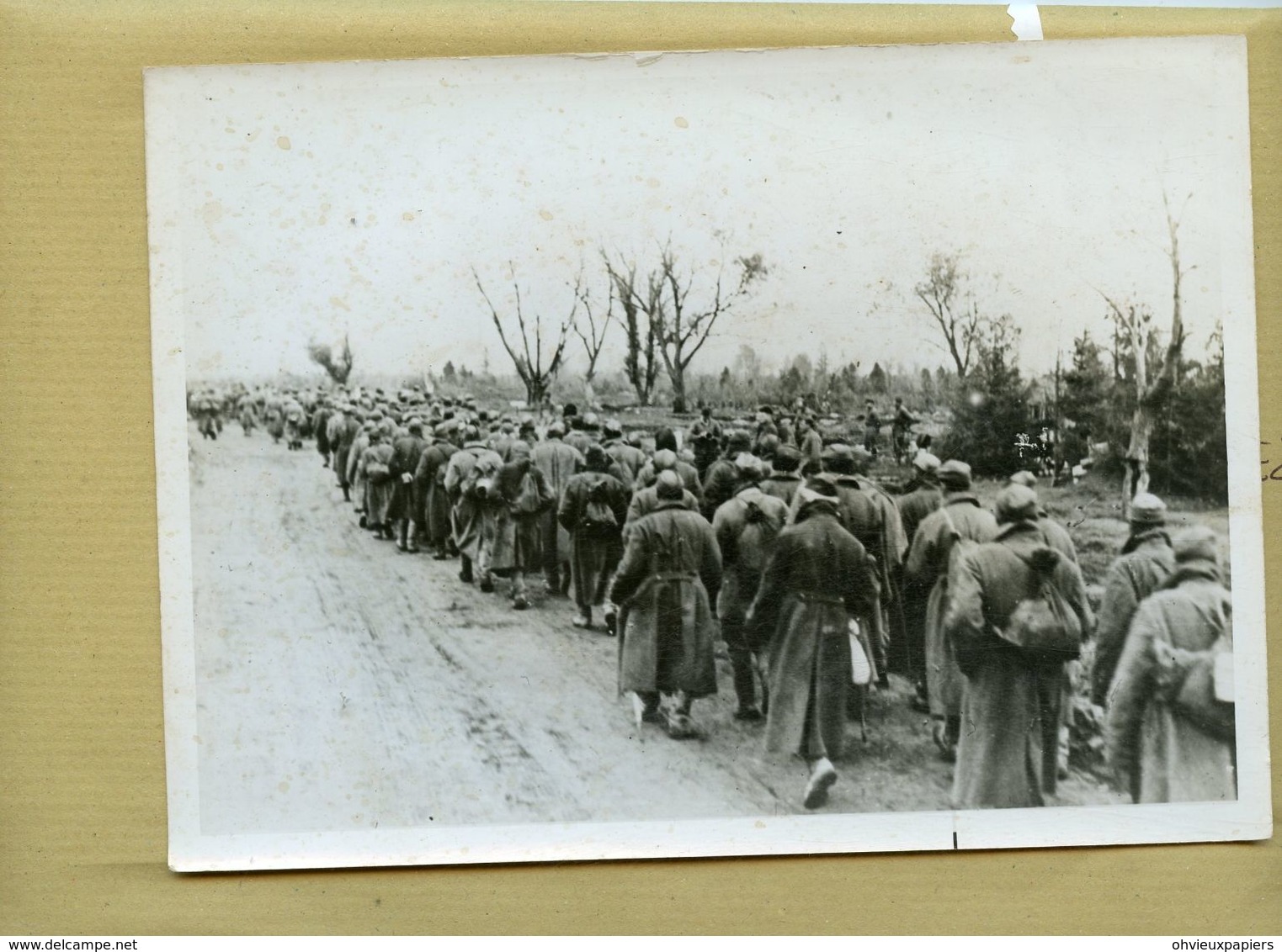 Guerre 39/45 à L'est - Une Colonne De Soldats Soviétiques Faits Prisonniers Dans Le Secteur De STALINGRAD 1942 - Krieg, Militär