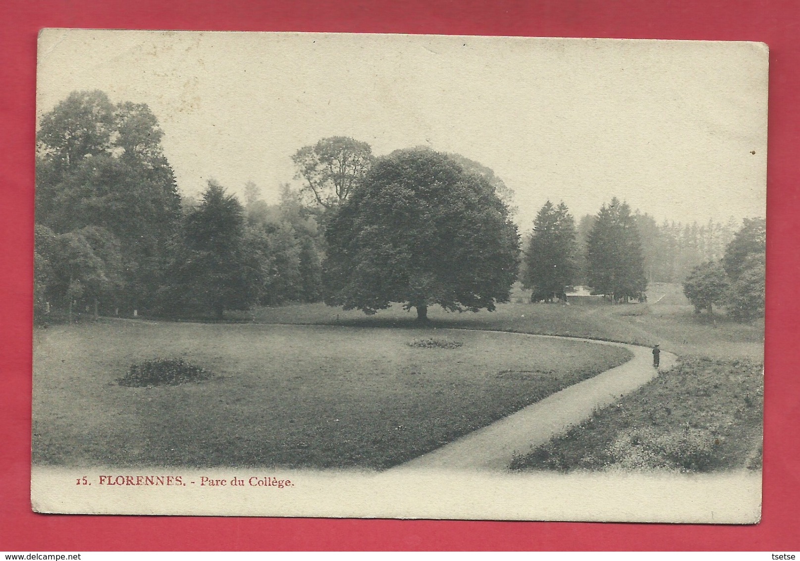 Florennes - Parc Du Collège  - 1906 ( Voir Verso ) - Florennes