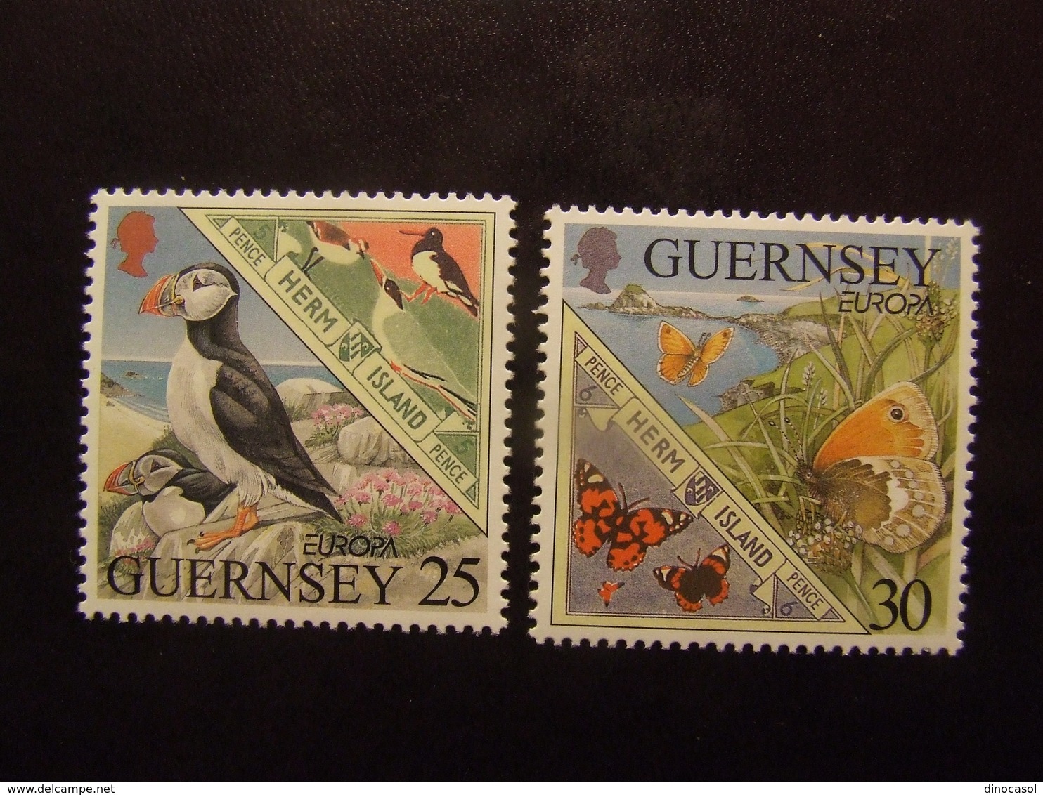 GUERNESEY 1999 EUROPA NUOVO ** - 1999