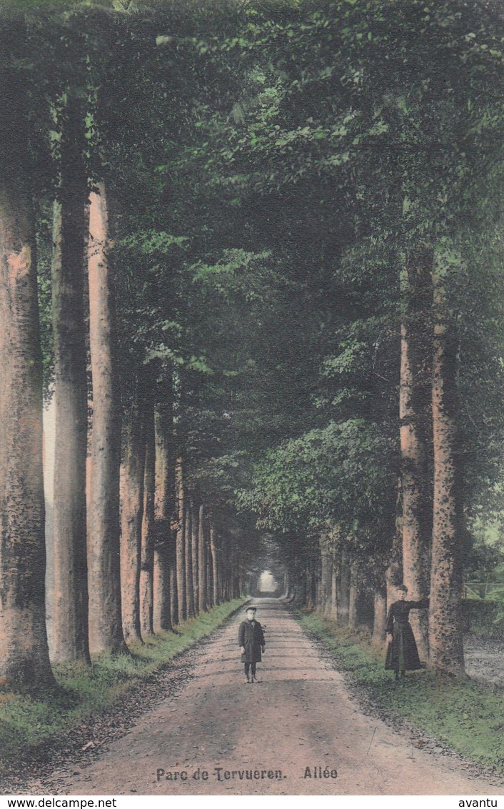 TERVUREN / HET PARK / EEN LAAN / ANIMATIE / LE PARC / UNE ALLEE  1912 - Tervuren