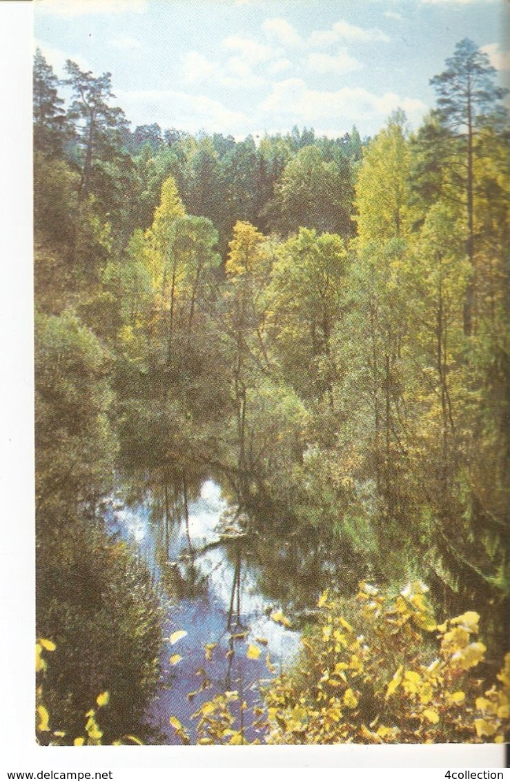 K2 Real Photo Postcard By Gailitis Latvia Liesma 1975 View Of The Tervete River From The Irsu Garden Tervete Nature Park - Latvia