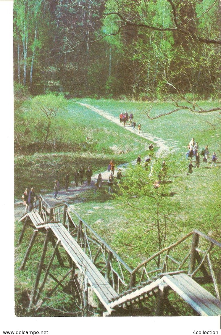 K2 Real Photo Postcard By Gailitis Latvia Liesma Wooden Stairs Stairway Bridge Of Spriditis Tervete Forest Nature Park - Latvia