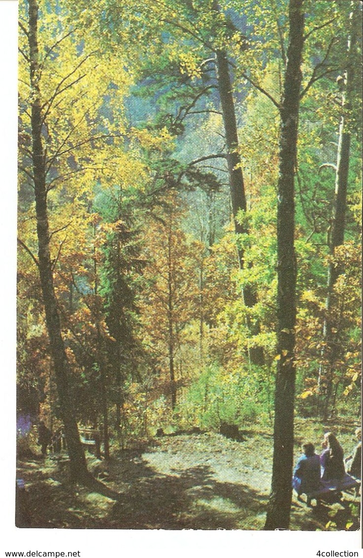K2. Real Photo Postcard By Gailitis Latvia Liesma 1975 The Tervete Forest Nature Park Path Trail - Latvia