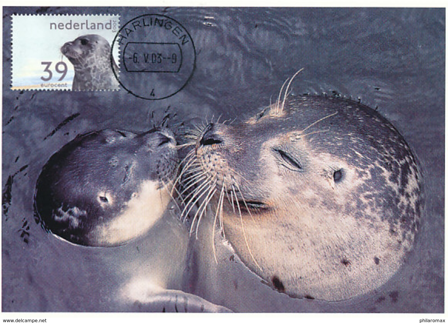 D32438 CARTE MAXIMUM CARD FD 2003 NETHERLANDS - SEALS WADDENZEE CP ORIGINAL - Other & Unclassified