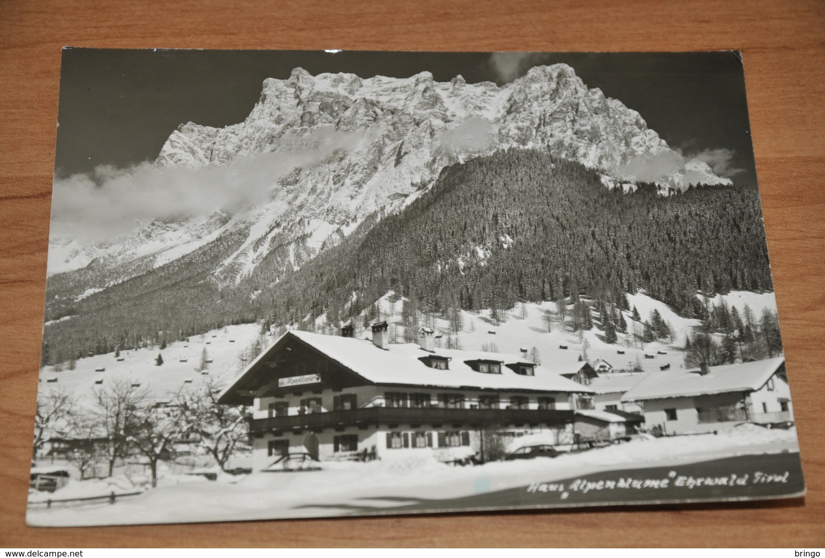 2042- Haus Alpenblum, Ehrwald Tirol - Ehrwald
