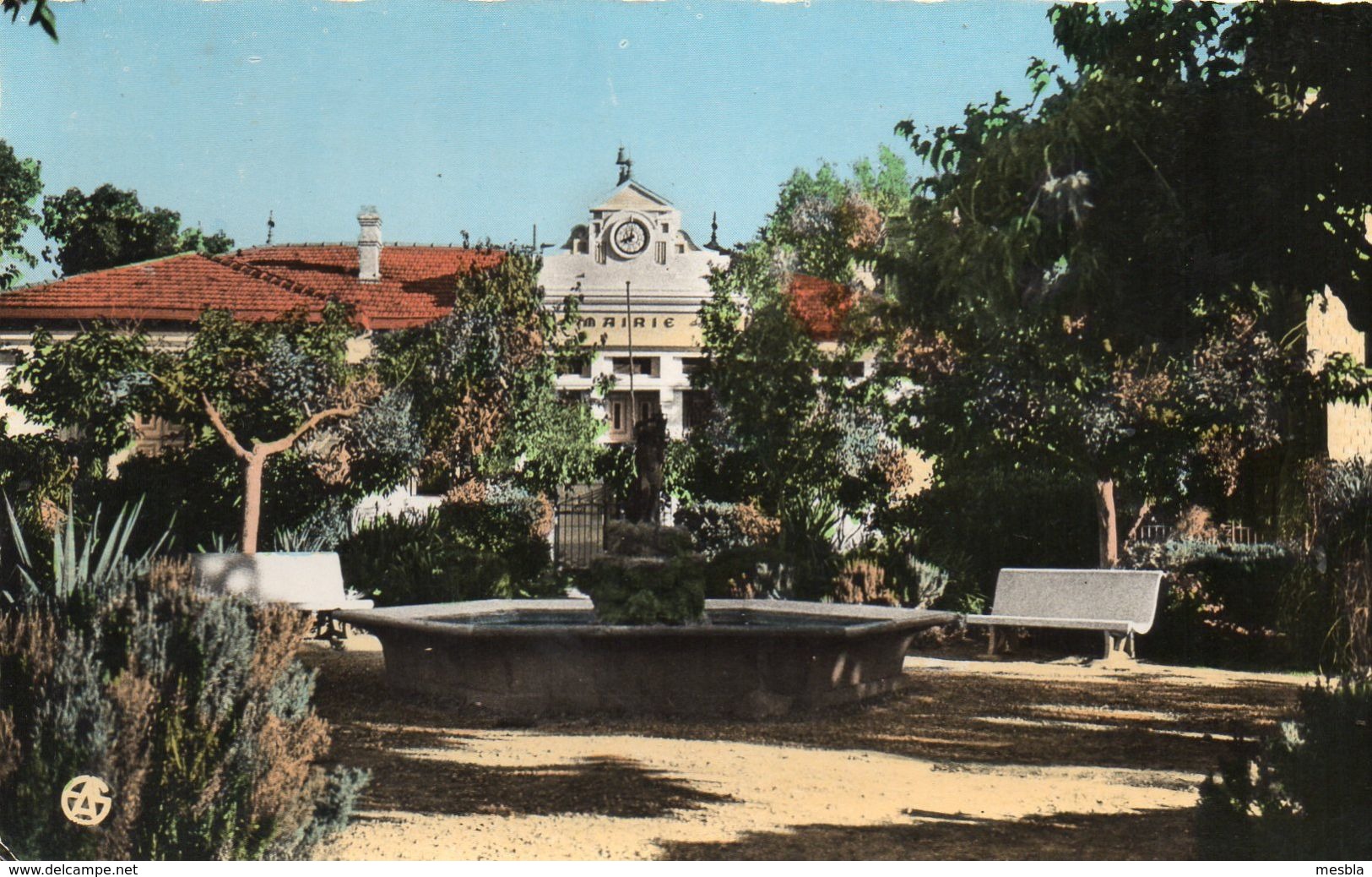 CPSM  -  ALGERIE  -  VIALAR -  Jardin Public Et La Mairie. - Altri & Non Classificati