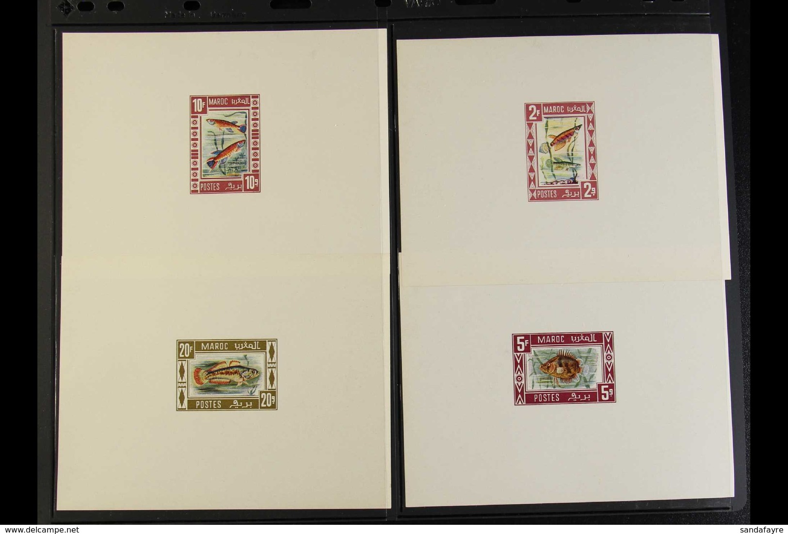 FISH Morocco Circa 1960s/70s Never Issued Designs In A Group Of Imperforate Colour Proofs With Values To 45f, Depict Var - Ohne Zuordnung