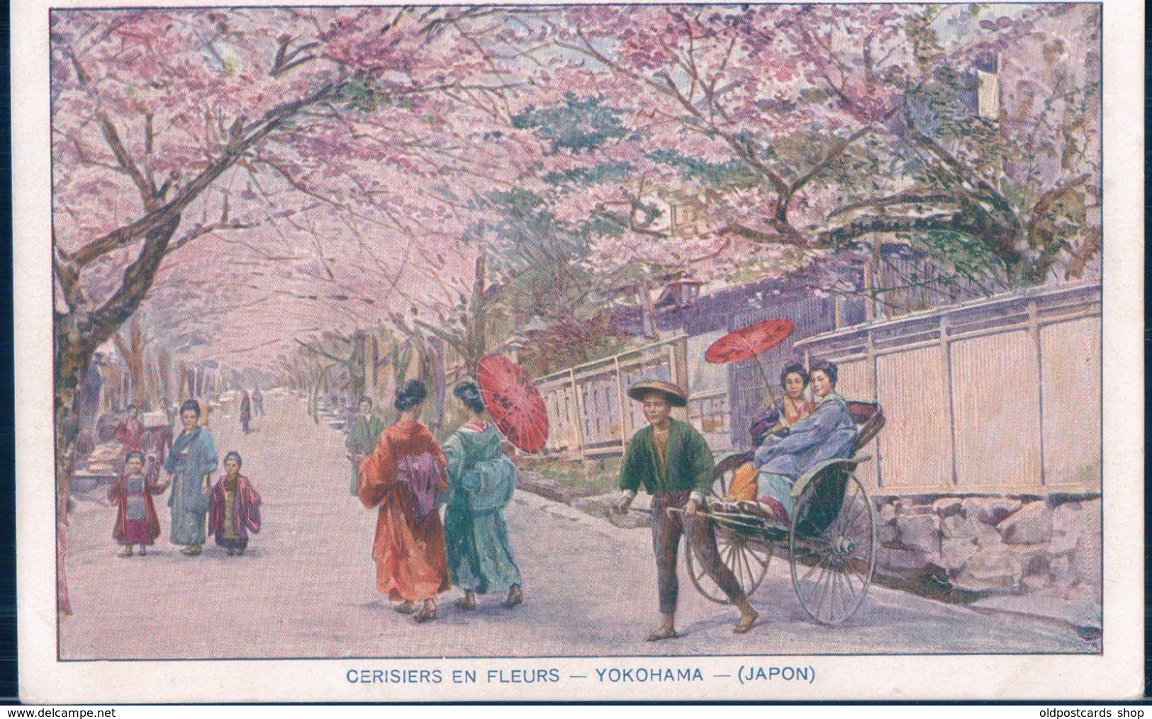 POSTAL JAPON - CERISIERS EN FLEURS - YOKOHAMA - Yokohama