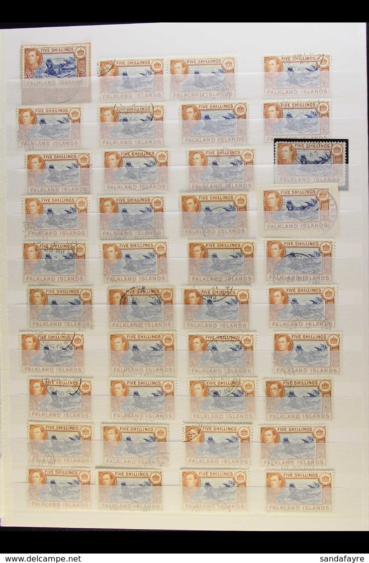 1938-50 FINE USED - 5s SHADES ACCUMULATION CAT £3.5K+ A Large, Very Fine, Cds Used Hoard Of Forty Examples Of The Pictor - Falklandinseln