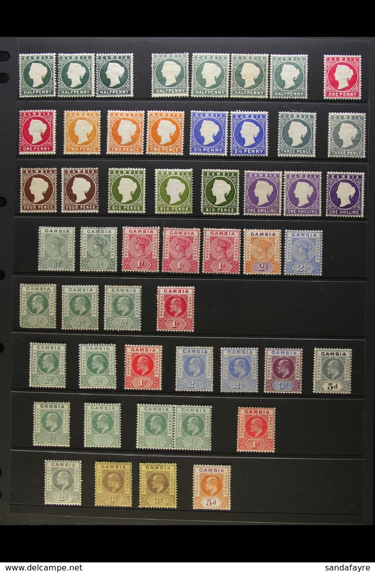 1886-1935 MINT COLLECTION Presented On A Pair Of Stock Pages. A Most Useful Collection With A Good Range Of Shades That  - Gambia (...-1964)