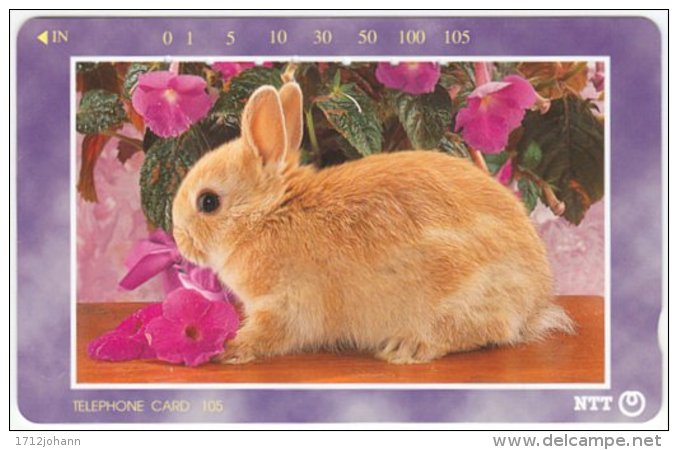 JAPAN F-653 Magnetic NTT [231-291] - Animal, Rabbit - Used - Japan