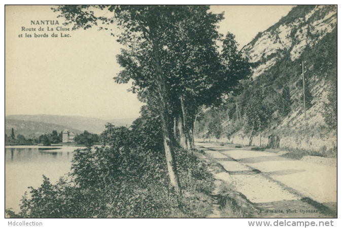 01 NANTUA / Route De La Cluse Et Les Bords Du Lac / - Nantua