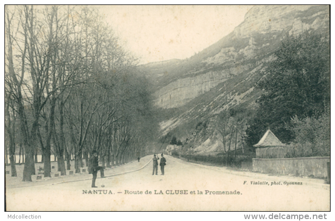 01 NANTUA / Route De La Cluse Et La Promenade - Nantua