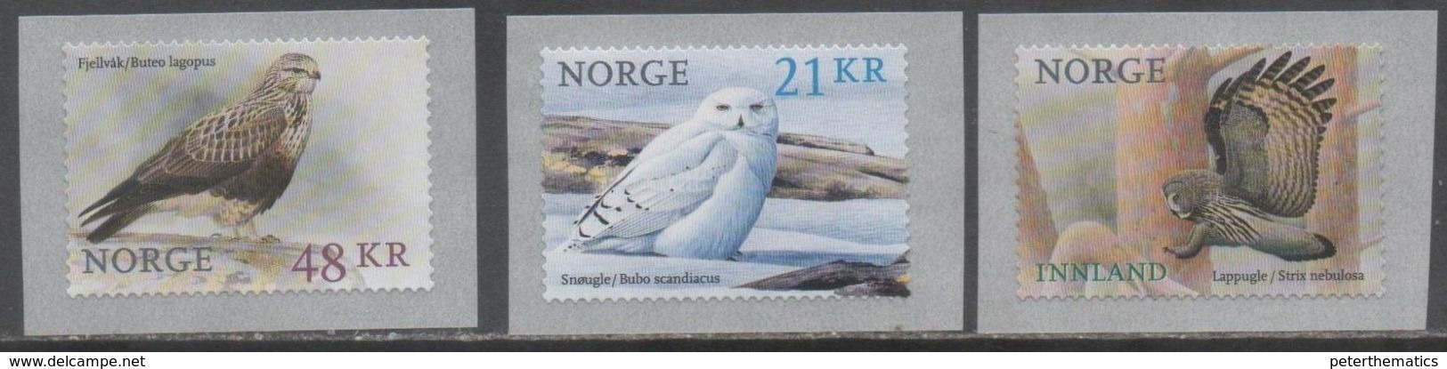 NORWAY, 2018, MNH,BIRDS, OWLS, HAWKS, BIRDS OF PREY, 3v, HIGH FV - Owls