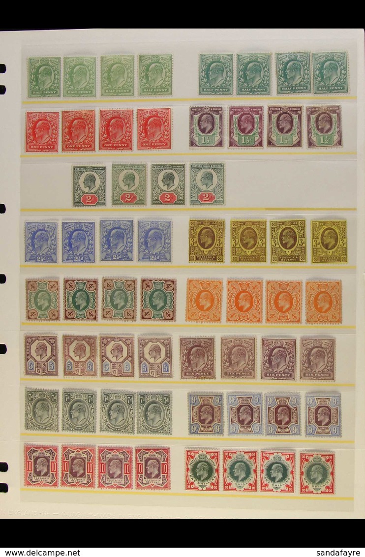1902-1913 SUBSTANTIAL MINT ACCUMULATION On Stockcards, Leaves/stockleaves, Etc. Can See Numerous ½d's And 1d's Including - Ohne Zuordnung
