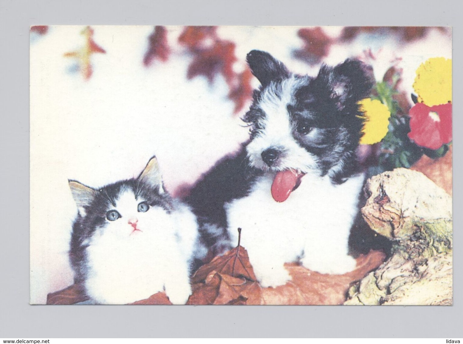 ANIMALS Pocket Calendar 1996 RUSSIA Dogs Dog Cat PLANETA № 921 - Petit Format : 1991-00