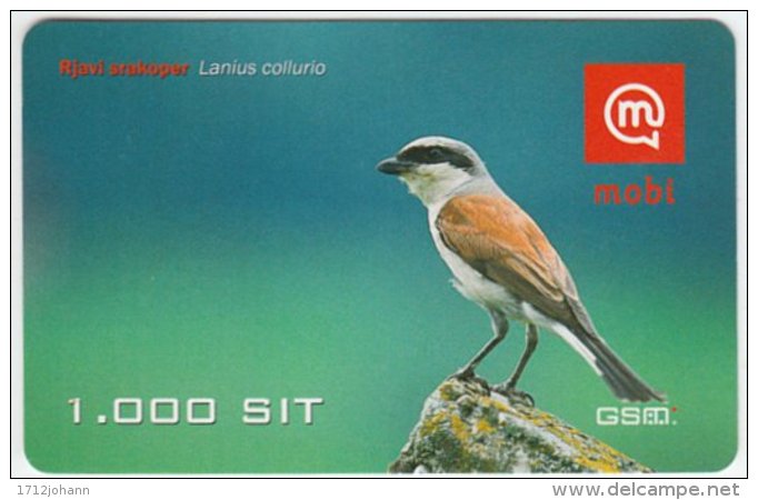 SLOVENIA A-850 Prepaid Mobi - Animal, Bird, Red-backed Shrike - Val. 31/12/2007 - Used - Slovenia