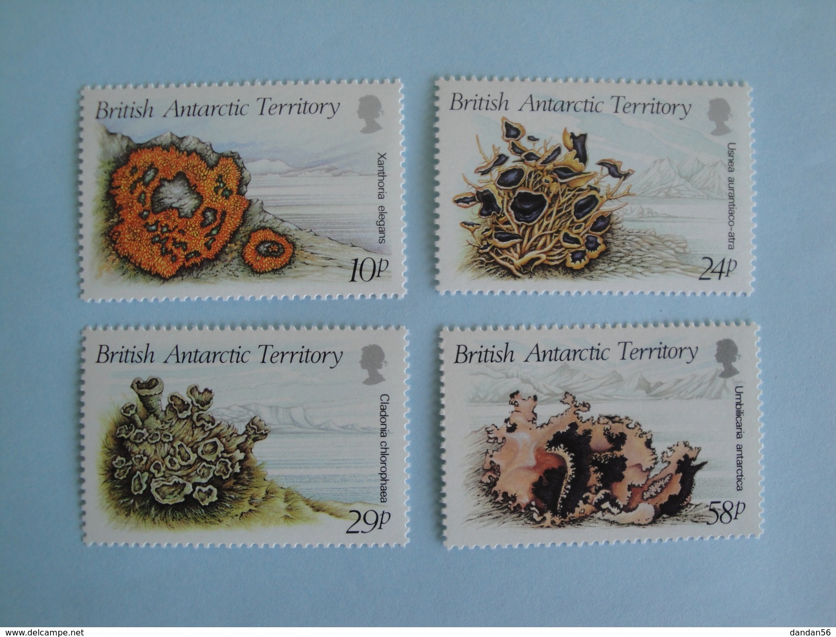 1989 Antarctique Britannique BAT Yvert 172/5 ** Flore Mousses  Scott 149/52 Michel 152/5  SG 167/70 Sea Spounces - Neufs