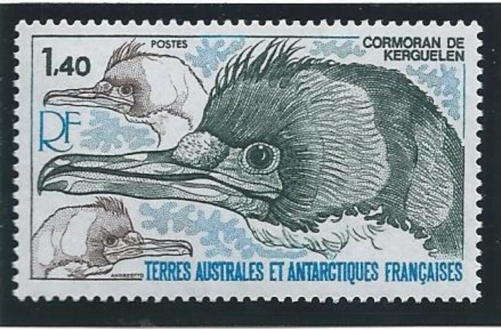 TAAF 1978 - YT N°78 - 1,40f. - Faune - Cormoran De Kerguelen -  NEUF** TTB Etat - Neufs