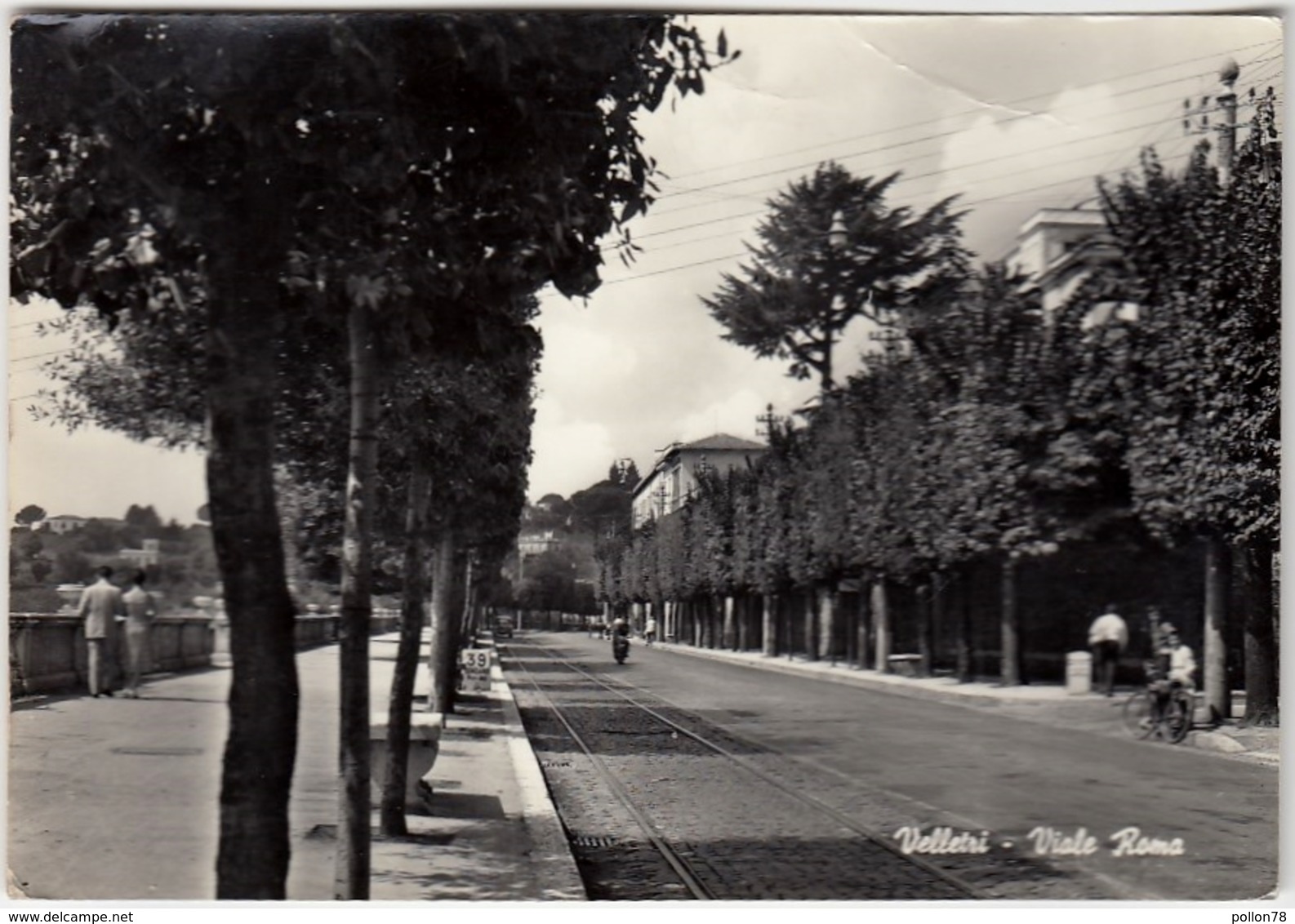 VELLETRI - VIALE ROMA - ROMA - 1960 - Velletri