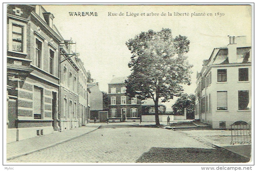 Waremme. Rue De Liège Et Arbre De La Liberté Planté En 1830. - Borgworm
