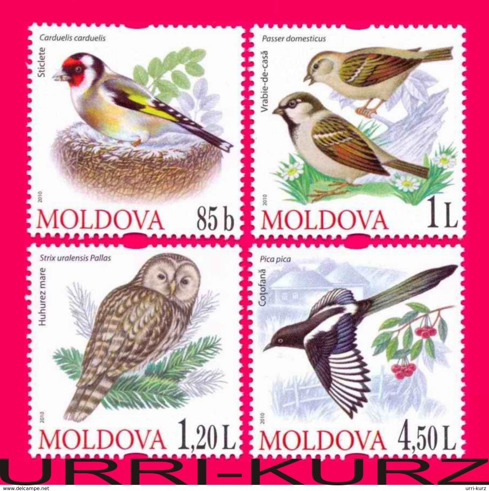 MOLDOVA 2010 Nature Fauna Birds Bird Goldfinch Owls Owl Magpie Sparrow 4v Mi698-701 Sc669-672 MNH - Other & Unclassified