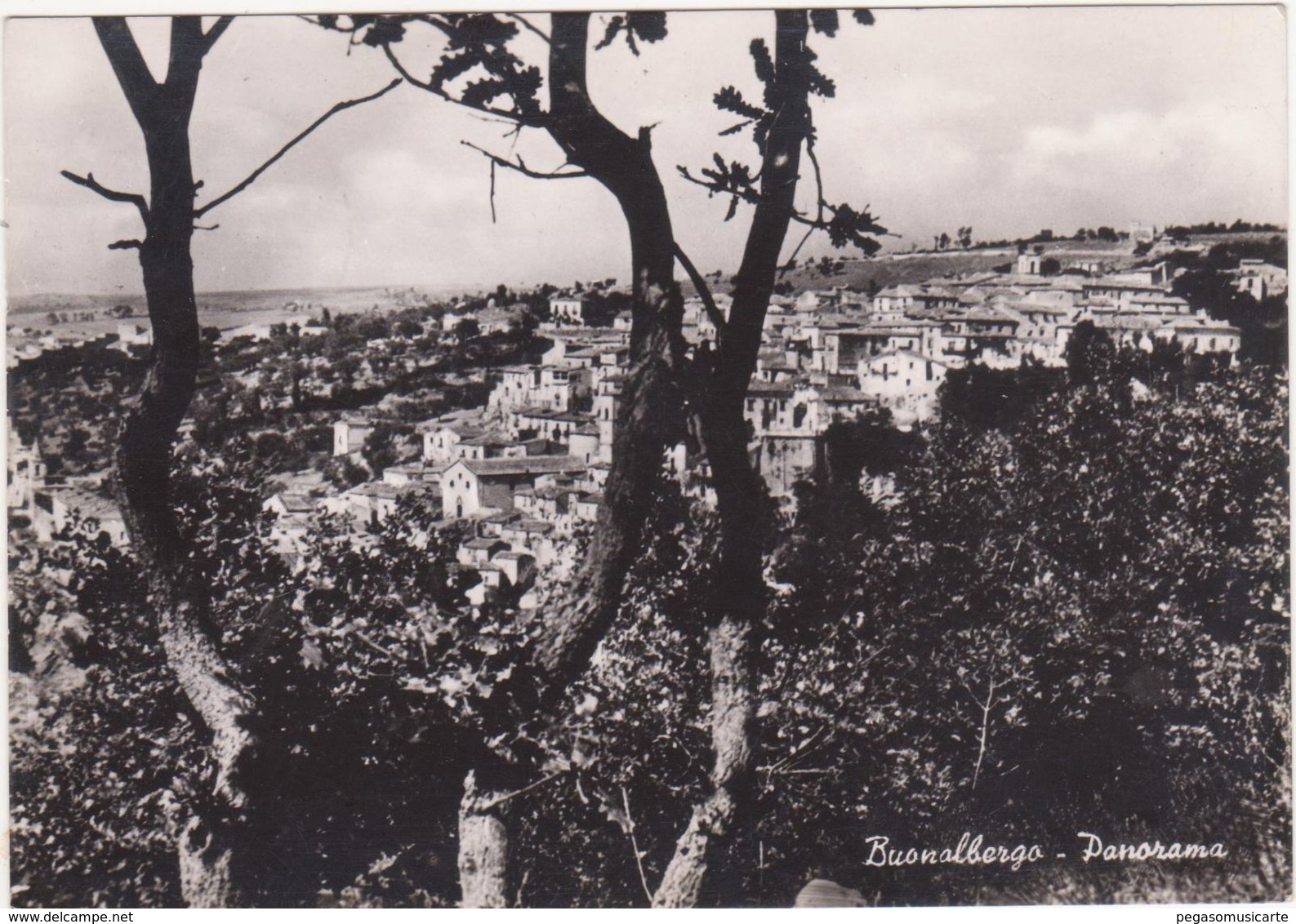 M202 BUONALBERGO BENEVENTO PANORAMA 1961 - Benevento