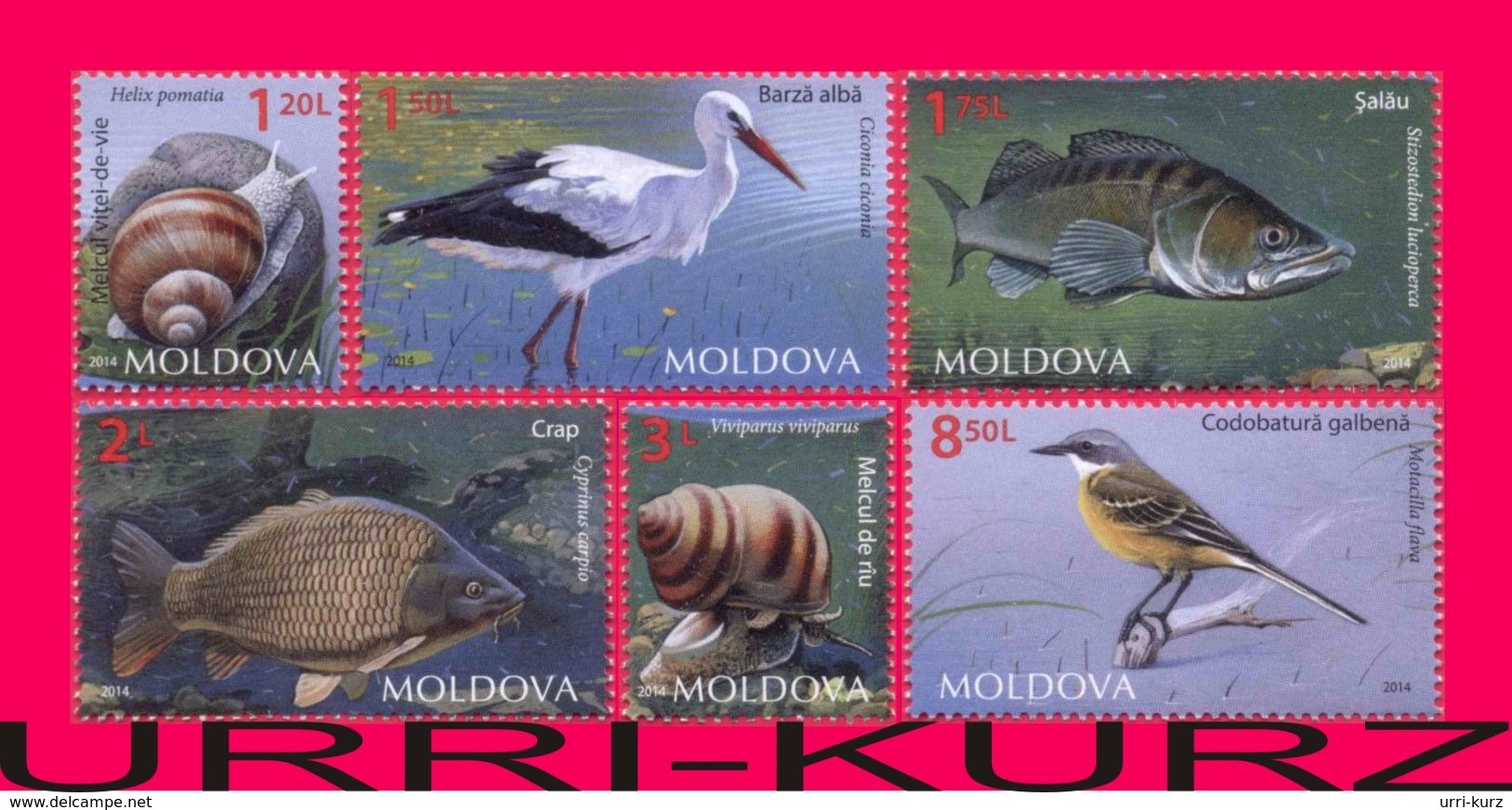 MOLDOVA 2014 Nature Fauna Fish Zander Carp Birds White Stork, Western Yellow Wagtail Snails Mollusks 6v Mi 883-888 MNH - Fishes