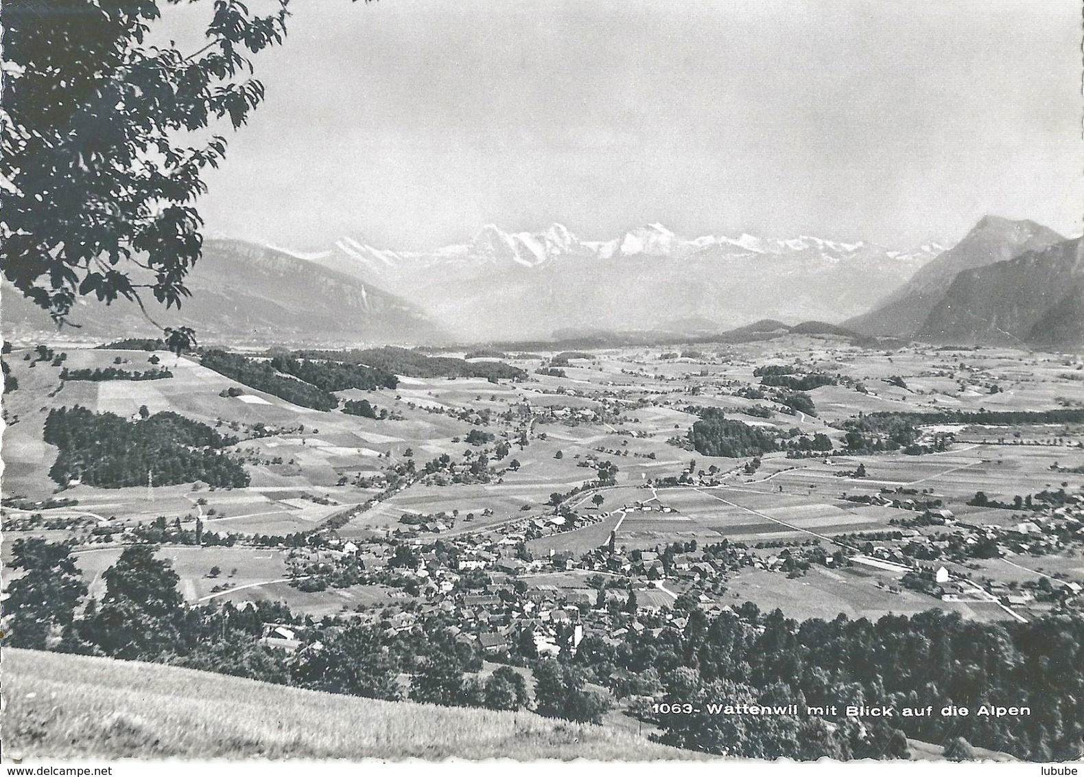 Wattenwil - Mit Blick Auf Die Alpen            Ca. 1950 - Wattenwil