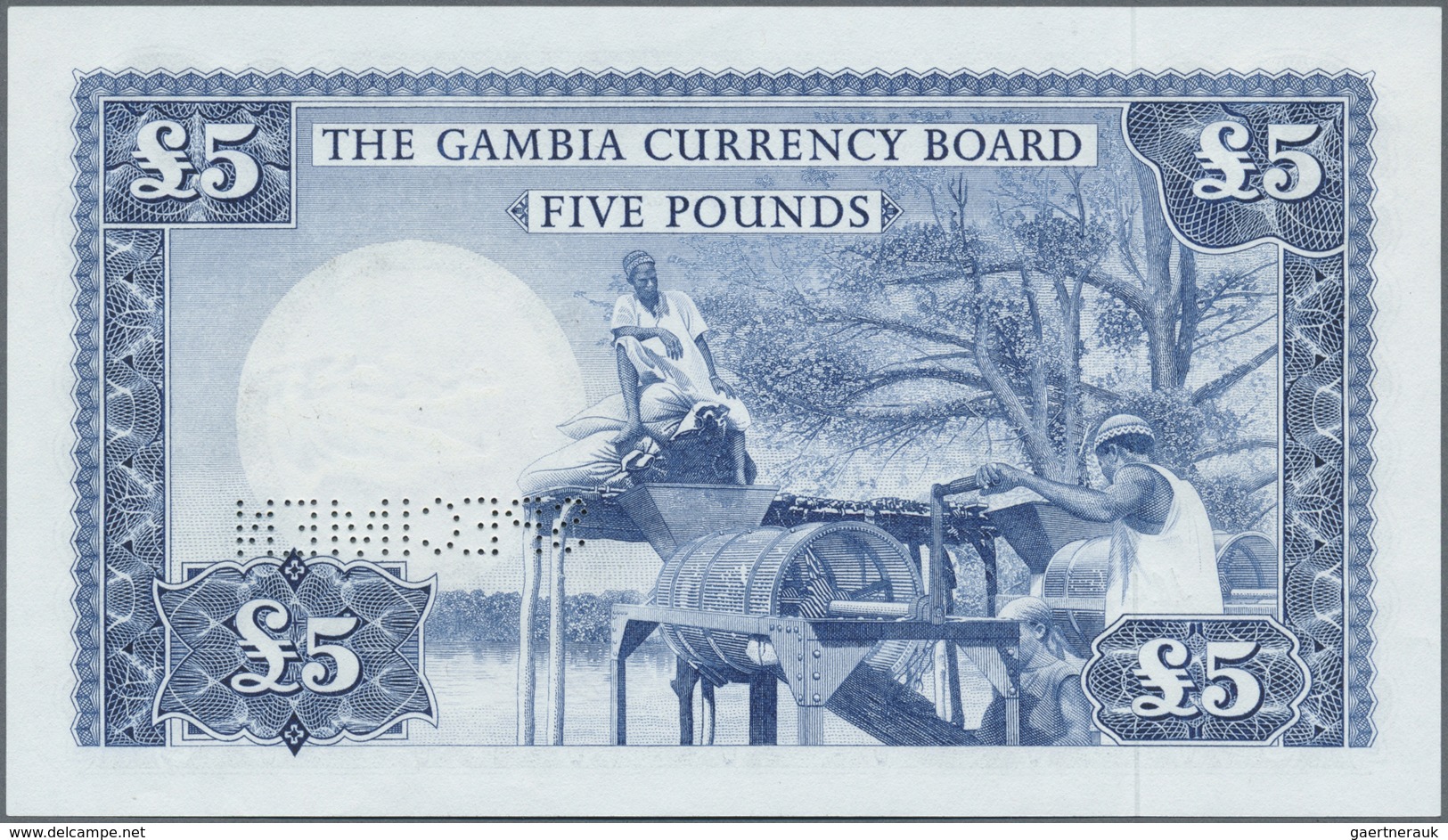 Gambia: The Gambia Currency Board 5 Pounds ND(1965-70) SPECIMEN, P.3s With A Tiny Dint At Upper Cent - Gambia