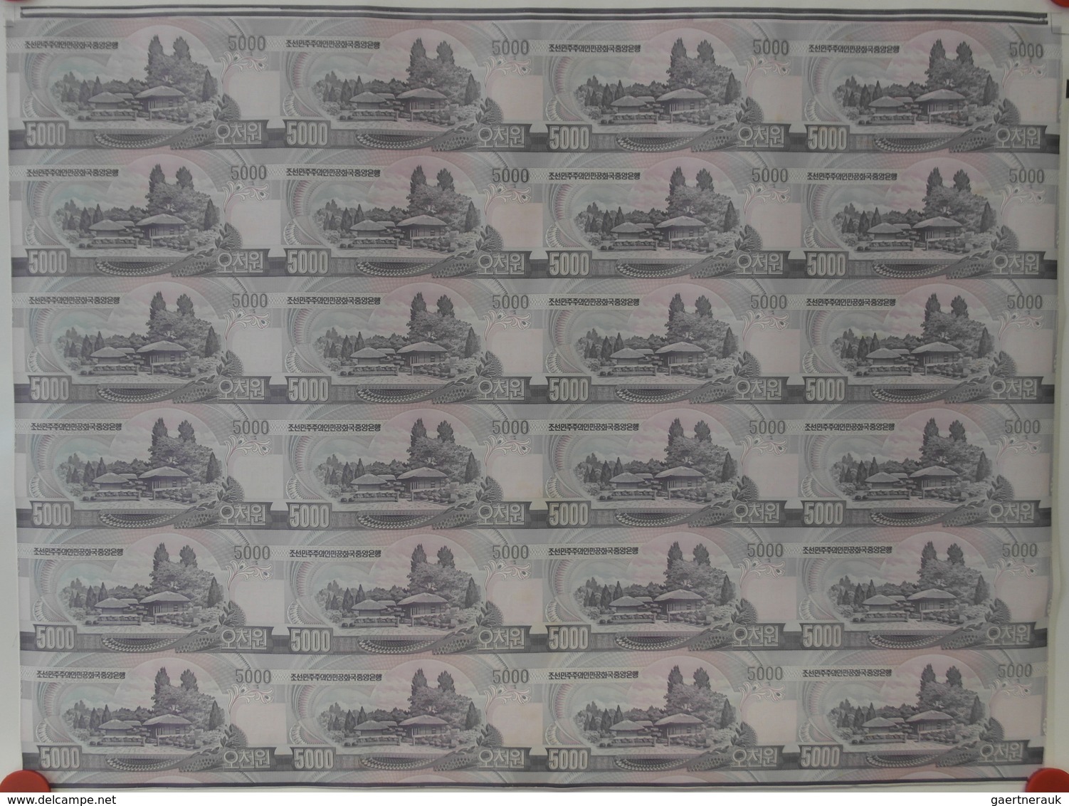 Korea: Uncut Sheet Of 24 Pcs 5000 Won 2006 P. 46 In Condition: UNC. (24 Pcs Uncut) - Korea, South