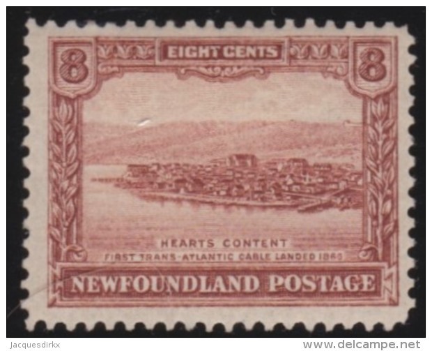 Newfoundlans    .    SG   .       170         .     *       .     Ongebruikt    .    /      .     Mint-hinged - 1908-1947