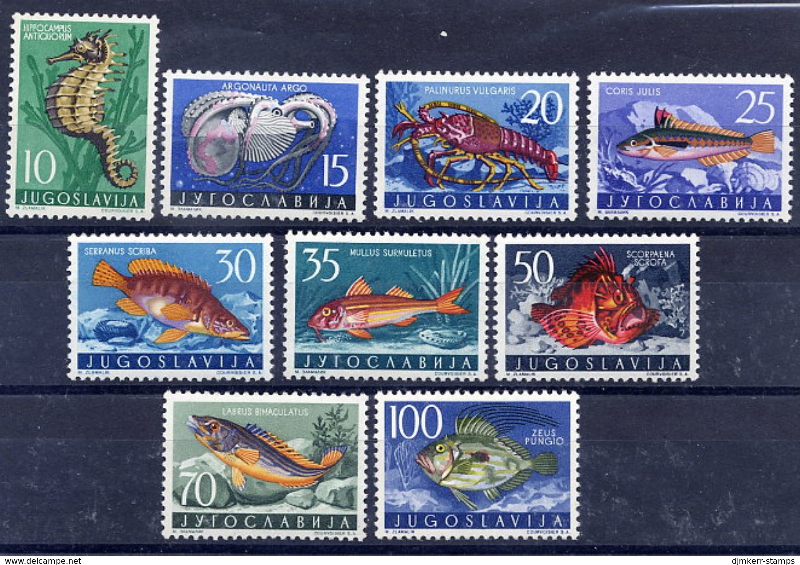 YUGOSLAVIA 1956 Marine Fauna  MNH / **.  Michel 795-803 - Unused Stamps