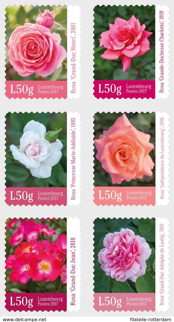 Luxemburg / Luxembourg - Postfris / MNH - Complete Set Rozen 2017 - Neufs