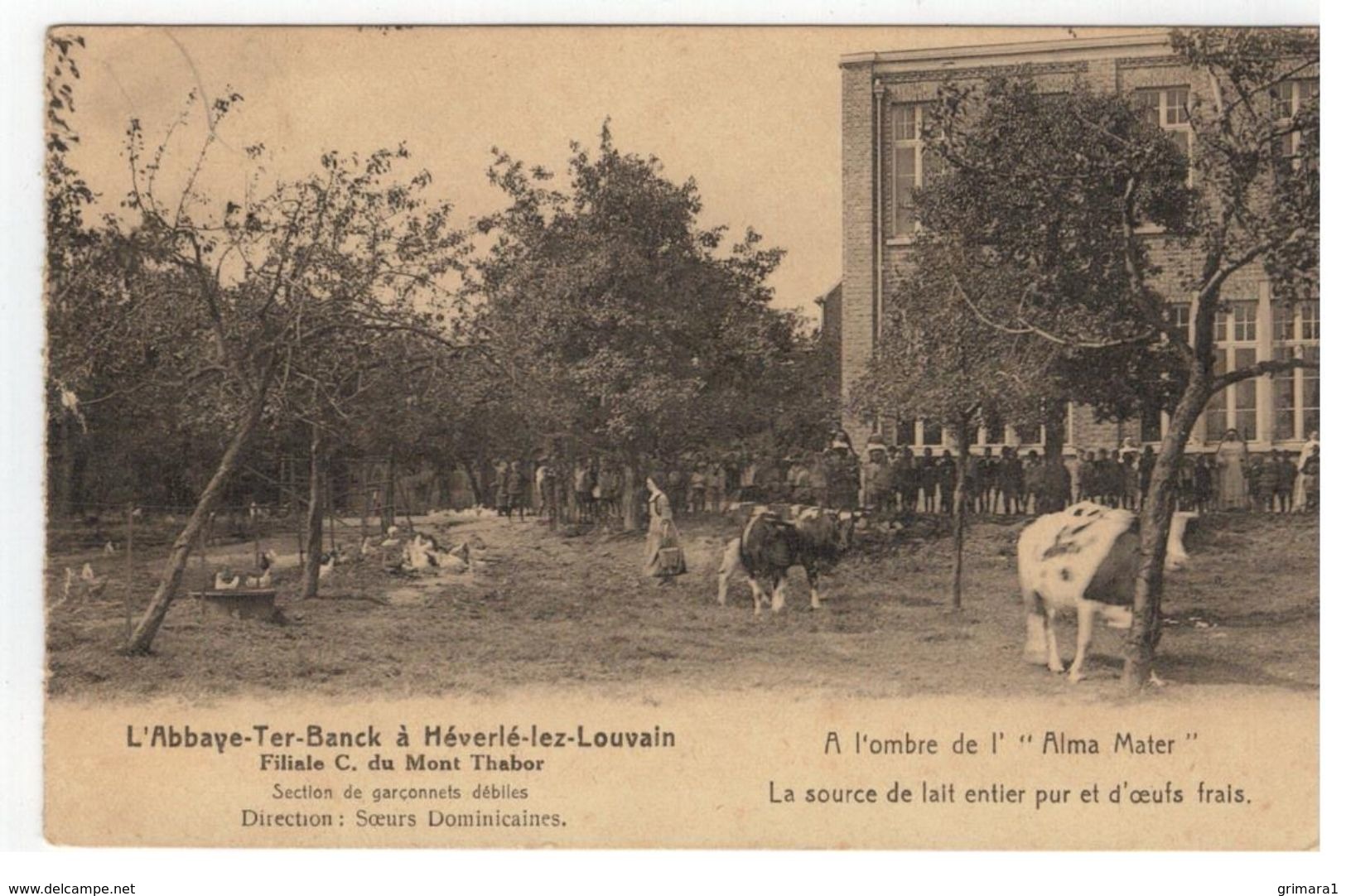 L'Abbaye-Ter- Banck à Héverlé-lez-Louvain :A L'ombre De L' "Alma Mater".. - Leuven