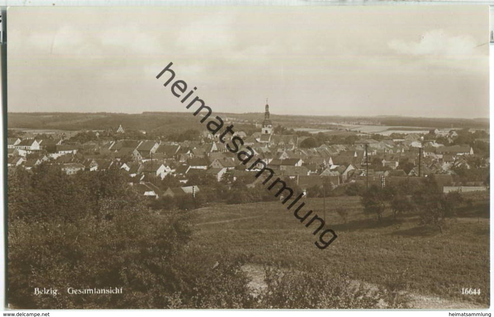 Belzig - Gesamtansicht - Foto-Ansichtskarte - Verlag Emil Balzer Belzig - Belzig