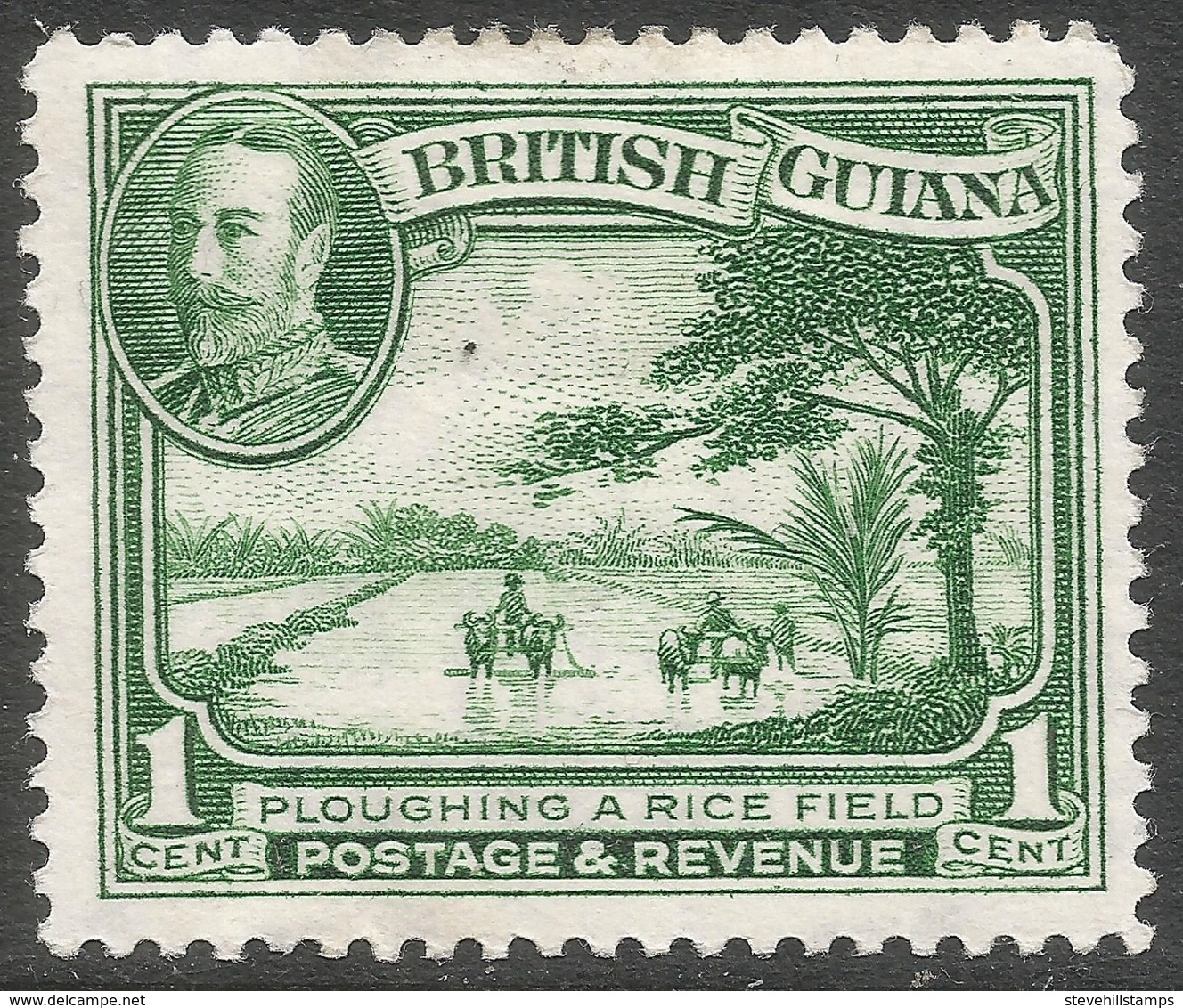 British Guiana. 1934-51 KGV. 1c MH. SG 228 - British Guiana (...-1966)