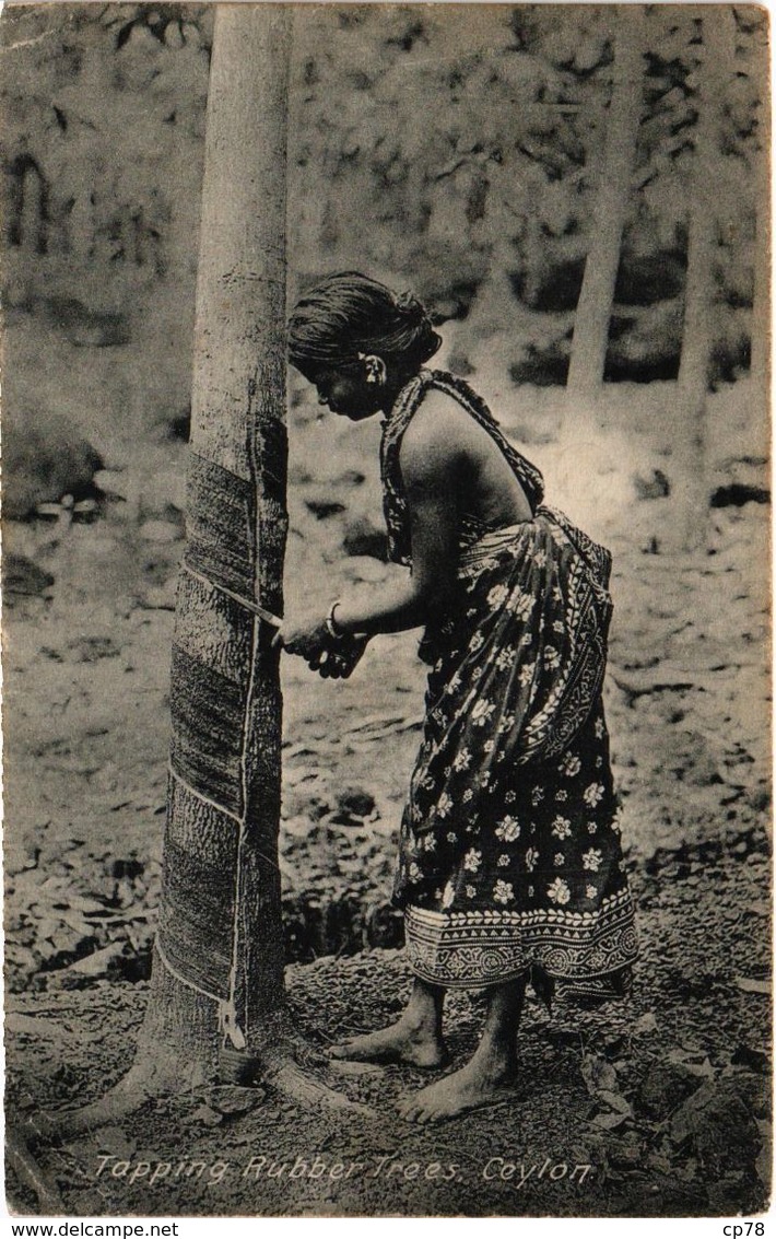 CEYLAN - SRI LANKA - Tapping Rubber Trees - Cachet Paquebot - Carte Postée - Sri Lanka (Ceylon)