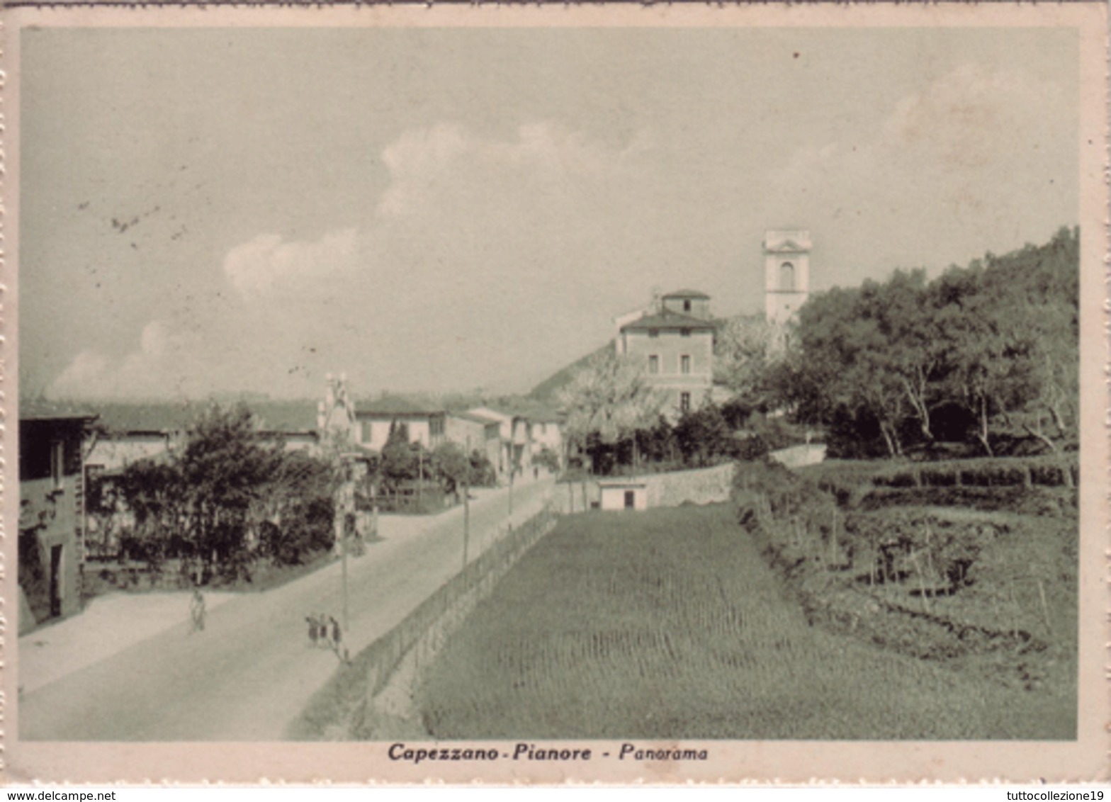 VENDO N.1 CARTOLINA DI CAPEZZANO-PIANORE(LU) PANORAMA,FORMATO GRANDE IN BIANCO E NERO - Lucca