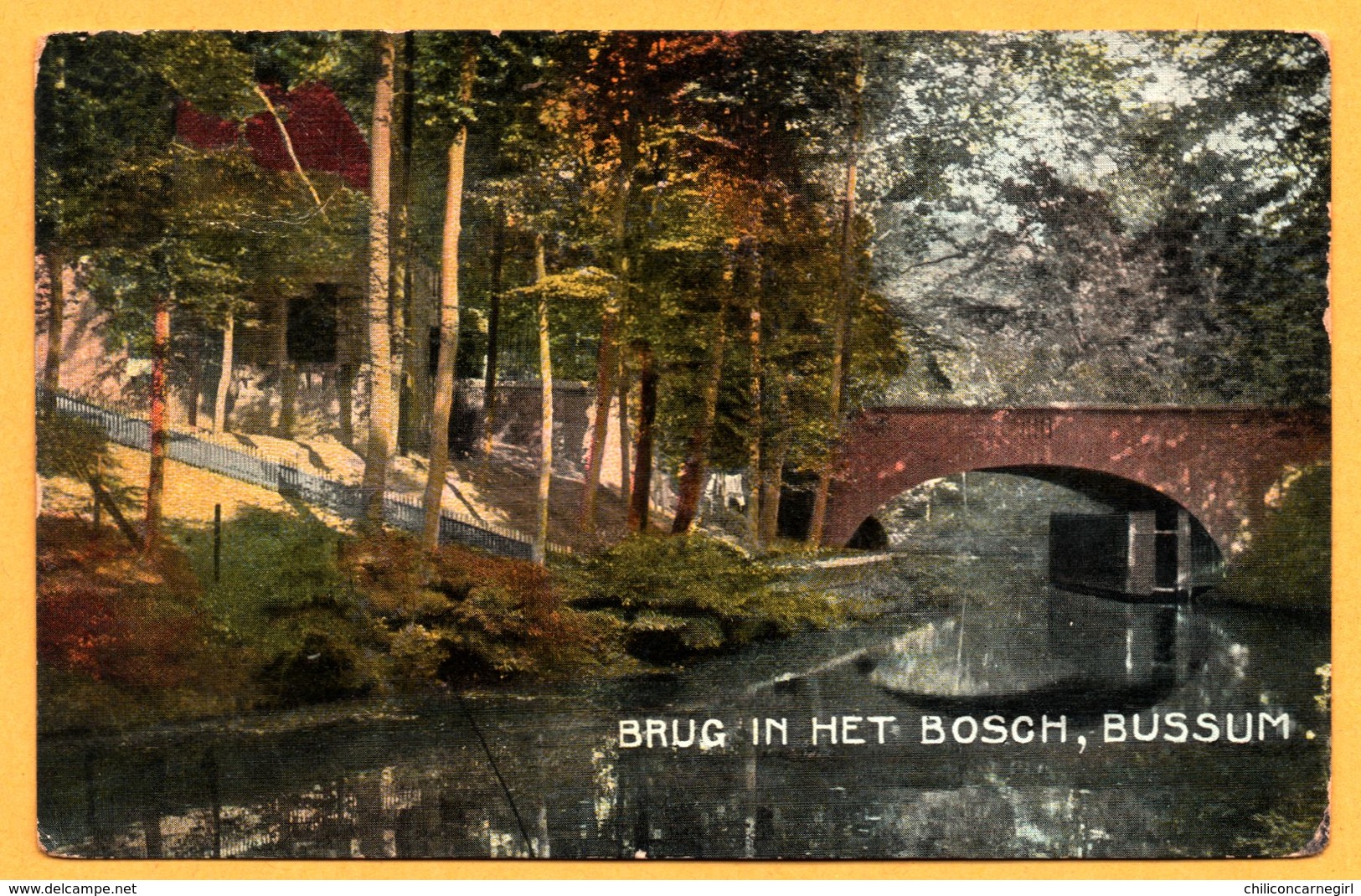 Bussum - Brug In Het Bosch - Pont - Carte Glacée Et Colorisée - Bussum