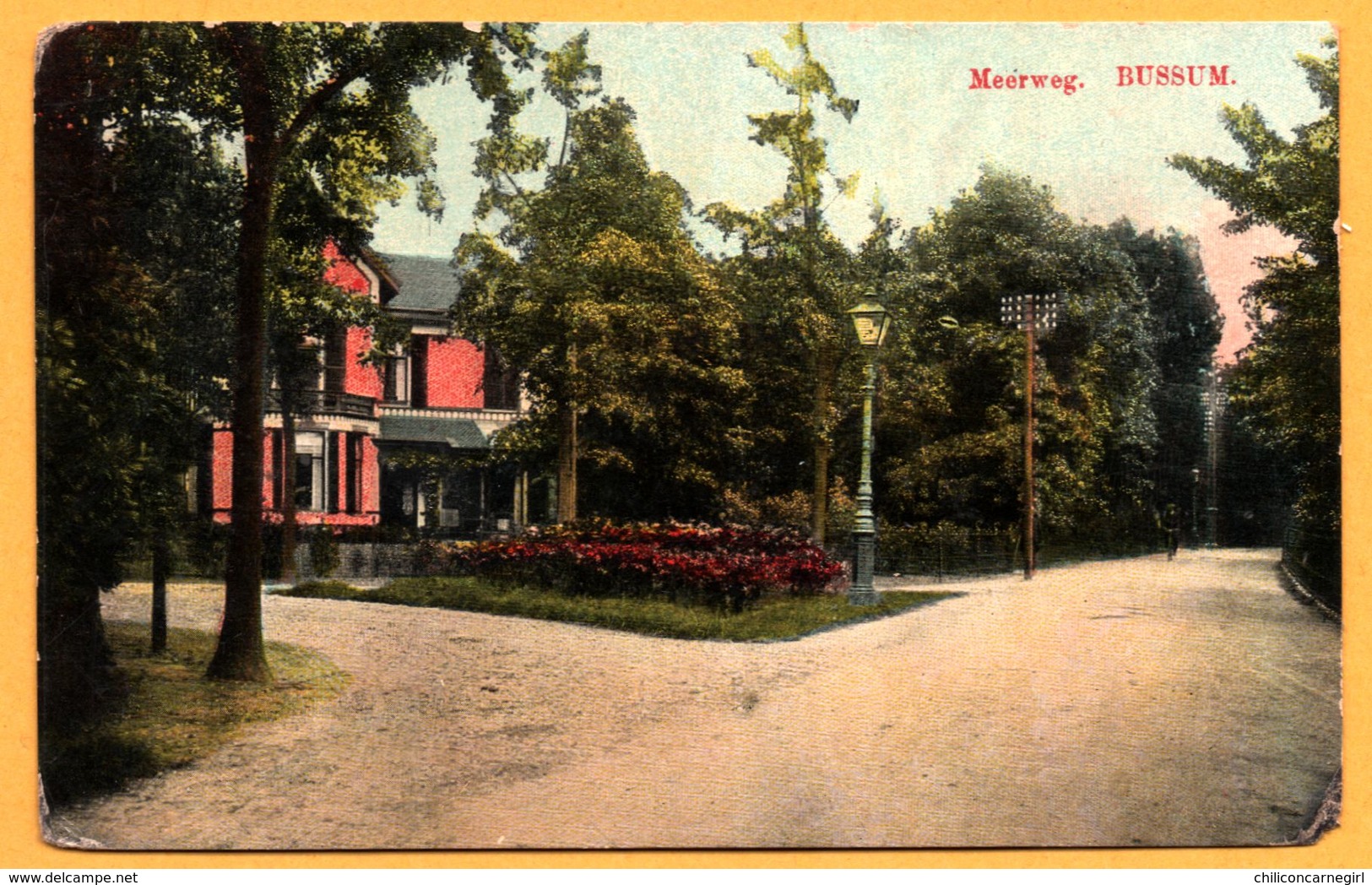 Bussum - Meerweg - 1917 - Glacée Et Colorisée - Bussum