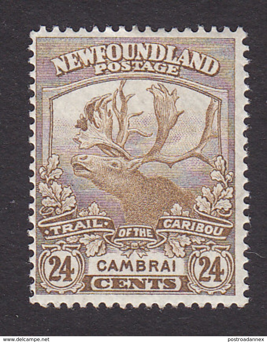 Newfoundland, Scott #125, Mint Hinged, Caribou, Issued 1919 - 1908-1947